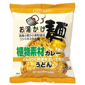 お湯かけ麺 植物素材カレーうどん （81g） 【創健社】