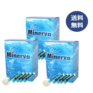ミネルバ 青パパイヤ発酵食品×3箱セット+6包増量 ※送料無料(一部地域を除く)