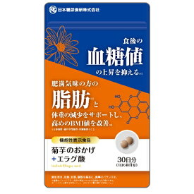 【ゆうパケット対応】菊芋のおかげ＋エラグ酸 54g（300mg×180粒） 【日本糖尿食研】