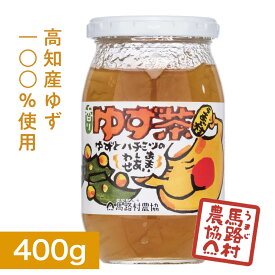 【馬路村農協公式】馬路村ゆず茶 400g