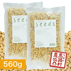 ynH_@z䂸̎ seeds@280g2
