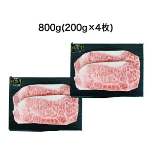 y^XLpbNzꋍ A5 [XXe[L y400gE800gzt ō j fBi[  T[C 蕨 j Mtg Ε ~Mtg