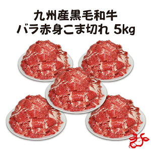 yzBYјa oԐgܐ؂5kgi1kg×5pbNj^pbN