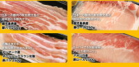 うまかもんお試し牛豚セット2.25kg【子供が喜ぶ!まんぷくお肉!】【お買い物マラソン】