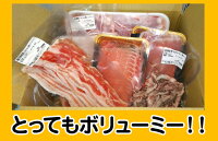 うまかもんお試し牛豚セット2.25kg【子供が喜ぶ!まんぷくお肉!】【お買い物マラソン】