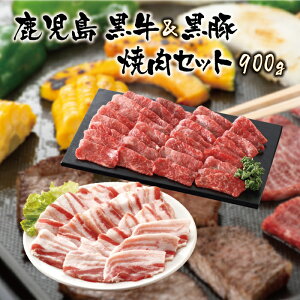 yz& ēZbg900gi400g/؃o500gjuh uh j 蕨 Mtg Ε BBQ o[xL[ Ԍ H~̏H