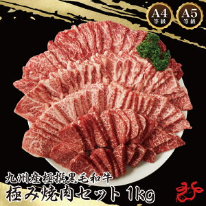 yzA4ȏ ɐјa ɂݏēZbg 1kg(500g×2) t o[xL[Zbg ēZbg Zbg BBQ Hה    j 蕨 Mtg Ε ~Mtg H~̏H 