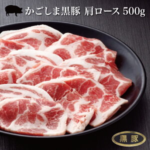 y^pbNzY܍ [X500gyubN/؂(Ƃ񂩂p)/؂zXCX geL ubN ؂   ؓ  ؃J^[X ،[X   ؓ 