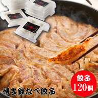 博多鉄なべ餃子120個 鉄なべ ぎょうざ ギョウザ 鉄なべ餃子 鉄鍋餃子 博多餃子 ひと口餃子 贈り物 焼き餃…