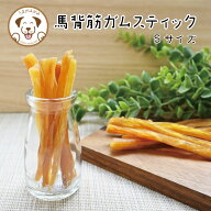 犬 おやつ 無添加 馬背筋ガム 【Sサイズ】 食後の歯磨き 歯石 ガム 硬い 長持ち 犬ガム デンタルガム デ…