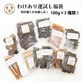 犬 おやつ 訳あり 福袋 詰め合わせ 100g 3種 セット 何が届くかお楽しみ 犬おやつ 無添加 硬い 長持ち 馬肉 馬アキレス 歯磨き ガム ジャーキー 小袋 犬用 お試し ギフト お配り プレゼント 小型犬 大型犬 グルテンフリー 低アレルゲン うまかみかみ