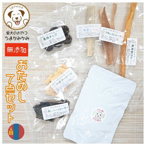 y1,000~|bLzyẑ 140g nALX  Tv 7Zbg lߍ킹 p Y  Ic hbOt[h n d  ɂԂ  