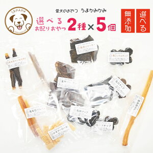 Iׂ   Y  Tv 10g 10Zbg y2x5_z  lߍ킹 n K `[Y AQ Oet[ ^ hbOt[h NX}X Mt