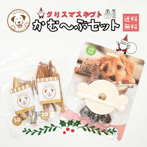 �y���������z�� ���� �M�t�g �Z�b�g ���p �K���X�^���h ���ށ`�� �Ƃ����Ɏg���邨��� �n�A�L���X�W���[�L�[ S 20g �n���W���[�L�[ S50g �����p �N���X�}�X �v���[���g ���蕨 �������� �d�� 