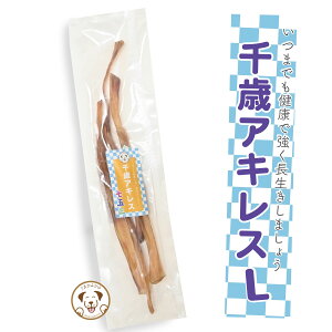 ܎O  nALXW[L[  LTCY 50g    d  H̎K  f^PA n[h ᎉb wV[ hbOt[h 蕨 v[g Mtg Y