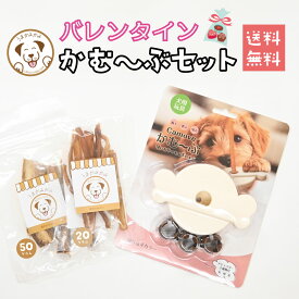 犬 おもちゃ ギフト ガムスタンド かむ〜ぶ全4色 送料無料 すぐに使える おやつ セット 犬用 馬アキレスジャーキーS 20g 馬骨ジャーキーS 50g バレンタイン プレゼント 1歳 誕生日 知育 玩具 犬早食い防止 オモチャ 早食い 小型犬 中型犬 愛犬用 犬早食い防止グッズ