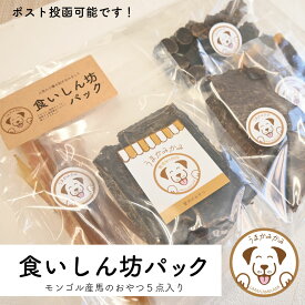 選べるメッセージカード付き プチギフトセット 【食いしん坊セット】人気なおやつ 5種 詰め合わせ 約145g アキレス入 犬 おやつ 無添加 お試し 硬い 長持ち 食後の歯磨き うまかみかみ 小袋 詰め合わせ オフ会 お配り イベント 誕生日 お祝い プレゼント