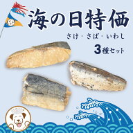 【1,000円ポッキリ】【送料無料】 国産 お魚 3点セット さけ いわし さば 犬 猫 おやつ 無添加 個包装 小…