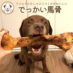 łn   v[g Y d  Oet[ AQ f^PA  XgX ̂  K ڍ ݂ hbOt[h XgX W[