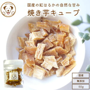 yz 2܃Zbg   ܂ Ă L[u g͂邩 50g x 2 Y F  Y ܈ g͂邩 Tc}C   hbOt[h Oet[ Mtg