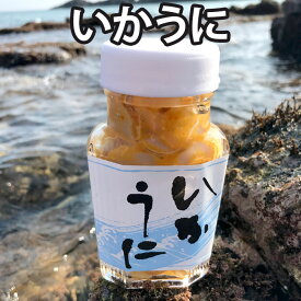 【D】本尾海産 いかうに 110g 雲丹 いか 烏賊 ウニ 瓶詰 お通し おとおし 突き出し つきだし つまみ 茶漬け 前菜 珍味 惣菜 ごはんの友 九州 長崎 イカ 丼 パスタ（D商品と同梱可）