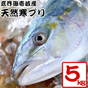 ぶり 5kg 魚の人気商品 通販 価格比較 価格 Com