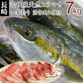 ヒラマサ ヒラス さしみ 天然 壱岐産天然ヒラマサ 4kg～10kg 鮮魚 最高級青背魚 平政 マサギ ヒラソ ひらす まるごと1本 丸物 丸もの 丸魚 刺身 お茶漬け 手巻き 寿司 塩焼 三枚おろし 3枚おろし 下処理代 無料 寒ひらまさ 送料込（北海道・沖縄は別途送料） 【H】