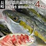【K】1本釣り壱岐産天然ヒラマサ【4kg】
