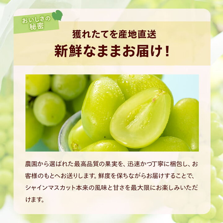 楽天市場】【収穫最終】シャインマスカット 1～4kg（3～10個前後 