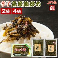 辛子高菜 選べる2袋 4袋 明太子入高菜 高菜漬け 送料無料 博多 福岡 九州産 帰省土産 旅行土産 おかず た…