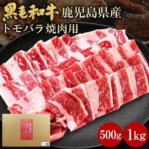   a Mtg јa go ē 500g 1kg Y ѕP  BBQ o Jr Y  蕨   O yY Yi |ɖ󂠂 ЂƎ A4 [Y