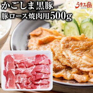  ēp ؃[X 500g Mtg Y ܍ XCX Y  [X ؓ 蕨 񂹃O  yY Yi | 󂠂 BBQ   ؘ ē Ⓚ 
