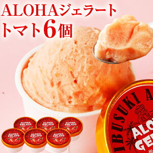 ALOHAWF[g g}g 6 Mtg ACXN[ XC[c  V[xbg ACRg}g  ʔ v[g lߍ킹   O [Y]