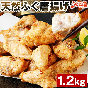 ӂ  ӂg 400g 1.2kg Mtg  炠 VRӂ ͓ v[g 蕨 Hi j 񂹃O CN  Hi { }Ⓚ ⓀHi [Ⓚ]