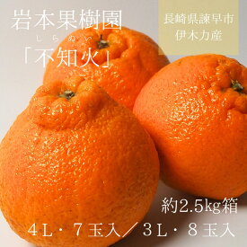 不知火 2.5kg 7～8玉 　長崎県産 岩本果樹園 不知火 2.5kg 7～8玉 1箱 箱 岩本 しらぬい シラヌイ オリジナル 旬 期間限定 長崎 長崎産 農家 果物 フルーツ ご家庭用 贈答用 ギフト プレゼント 高級 ダイエット おやつ 健康 高糖度 甘い　うまうまもぐもぐ