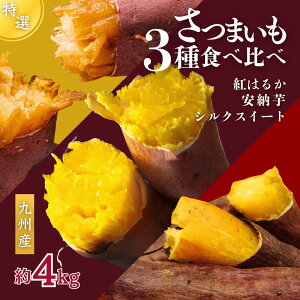 さつまいも食べ比べ シルクスイート 紅はるか 安納芋 4kg相当 さつまいも セット あんのういも シルク べにはるか 産地直送 焼き芋 お試し 自宅用 家庭用 業務用 九州 鹿児島 大分 熊本 中園