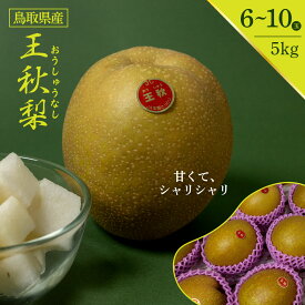 鳥取県 王秋梨 ブランド梨 6玉～10玉 5kg相当 高級 高級梨 おうしゅう とっとり ギフト 果物 贈り物 プレゼント 旬 フルーツ 梨 なし ナシ 期間限定 お歳暮 お祝い プレゼント 誕生日 自宅用 美味しい 果汁 大きい梨 おっきい 冬の贈り物 旬 うまい 美味しい おすすめ 人気