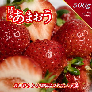 あまおう いちご 博多あまおう 福岡県産 250gパック 2パック G グランデ ホワイトデイ 母の日 等級 500g 苺 イチゴ 甘い 期間限定 ふくおか 福岡 果物 フルーツ 自宅用 家庭用 お菓子作り 贈答用