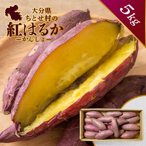 さつまいも 紅はるか ちとせ村 大分県産 LM 18~30玉 5kg 甘太くん かんたくん 千歳村 家庭用 自宅用 まとめ買い 生芋 焼き芋 スイーツ べにはるか 九州 ダイエット 箱 箱売り 大きい 美味しい 甘