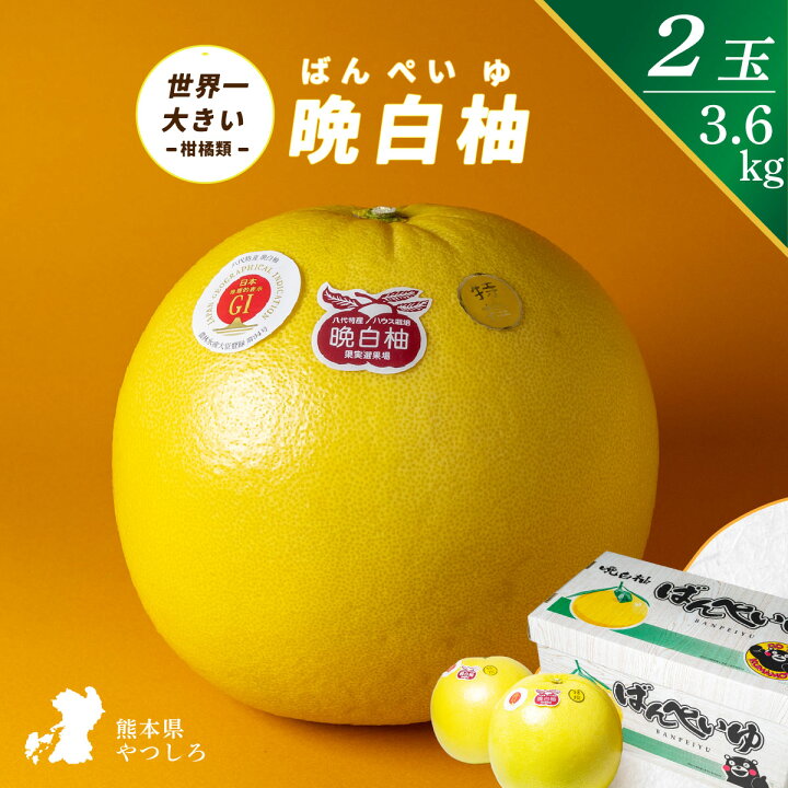 楽天市場】晩白柚 ばんぺいゆ ザボン ざぼん 熊本県産 2玉 3.6kg 高級 