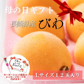 びわ　長崎県産　化粧箱　500g 12玉　Lサイズ　ビワ　期間限定　フルーツ　プレゼント　贈答用　高級　母の日　母の日ギフト　母の日プレゼント