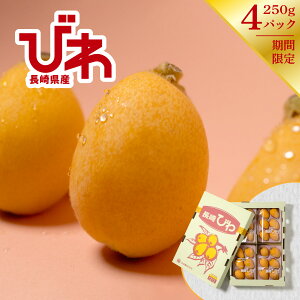 �т� 1kg 1�� 250g×4�p�b�N ���茧�Y �������� ���f �r�� �{ �ʕ� �t���[�c ������ ���Ԍ��� �M�t�g �v���[���g ���蕨 ���� �a���� ��j ��� ���j�� ���j �̂��Ή� ���� �� ���� �Y�n����