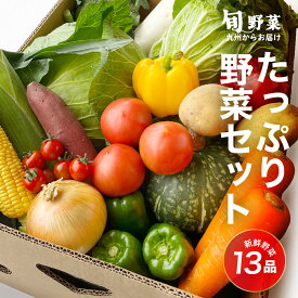 野菜セット 旬のおまかせ13品 たっぷり 九州 新鮮野菜 詰め合わせ 野菜 やさい 仕送り 季節の野菜 福岡 北九州 新鮮 野菜 セット セット 旬 おまかせ 厳選 お試し ギフト グルメ 料理 サラダ 取り寄せ プレゼント 大容量 美味しい お得 健康 おすすめ 大人気 送料無用