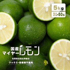 国産レモン マイヤーレモン 5kg 佐賀県産 送料無料 ノーワックス 防腐剤不使用 防カビ剤不使用 2L-M 30玉-50玉 レモン 檸檬 国産 種 希少 れもん 旬 果物 フルーツ 柑橘類 皮ごと 使える 安心 安全 栽培 料理 業務用 自宅用 まとめ買い 大容量 1箱 箱 レモン汁 ダイエット