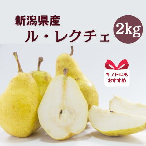 VY  N`F m 5ʁ`6 2kg  ꂭ ɂ Ƃ낯H Fȍ Â  Mtg ʕ 蕨 v[g p { ~ ~̖o t[c mȂ iV