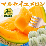 【セール中 21％OFF】マルセイユメロン 長崎県産 3L 4玉 4kg相当 旬 期間限定 長崎 長崎県 農家 果物 フ…