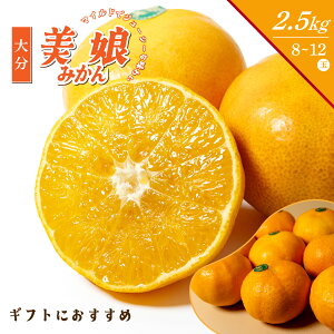 啪Y  ݂ ݂ 8ʁ`12 2.5kg  V ܂ nz݂ nz ZT[ x ʏ` IW X}CJbg Â  ~J ʕ t[c Ԍ i a 