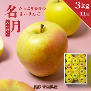  (  X ) 11ʓ 3kg XY 쌧Y ߂  S ь t[c ʕ t[cMtg Ε v[g Mtg  蕨   W[X Â َq