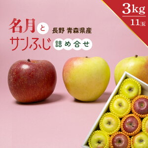  × Tӂ (  X ) lߍ킹 Zbg 11ʓ 3kg XY 쌧Y ߂ Tӂ  S ь t[c ʕ t[cMtg Ε v[g Mtg  