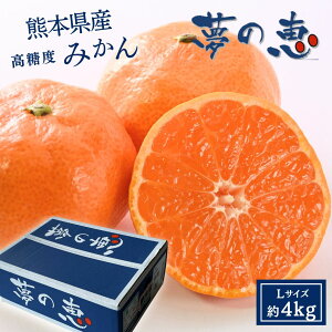 ���̌b�݂��� L�T�C�Y 4kg �� �݂��� �F�{ ��B �F�{�݂��� �����݂��� ���x ������ ���I �͓� �v���~�A���݂��� �ʕ� �t���[�c ������� �������� �l�C ��l�C ���k ���� �����i ���Ε� �v���[